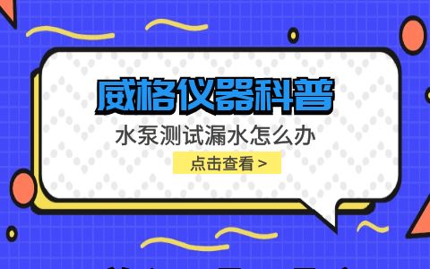 威格儀器-水泵測試的時候漏水怎么辦插圖 威格儀器-水泵測試的時候漏水怎么辦插圖