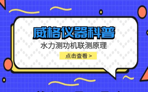 威格儀器-水力測功機(jī)聯(lián)測原理插圖 威格儀器-水力測功機(jī)聯(lián)測原理插圖